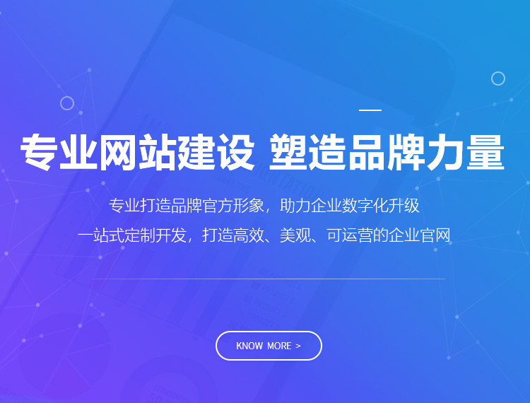 岳麓建站-专业网站建设 塑造品牌力量